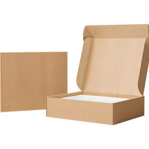 Natural Brown Kraft Mailer Boxes