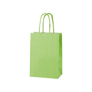 LIGHT GREEN TWIST HANDLE PAPER