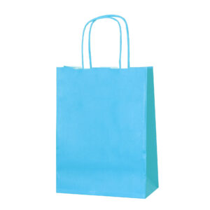 LIGHT BLUE TWISTED HANDLE PAPER
