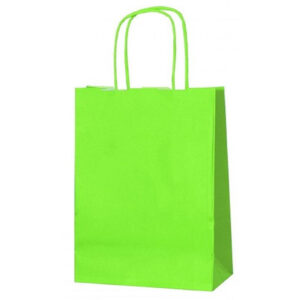 LIGHT GREEN TWISTED HANDLE PAPER